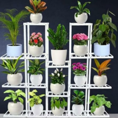 Jyoti Nursery